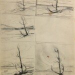 Sketches of the Hanging Tree, (no not THAT kind of tree - this was for hanging bathing suits to dry), ink and wash, unsigned