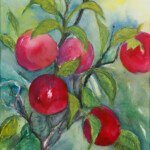 Apples, 2000, watercolour, 16" x 12", signed