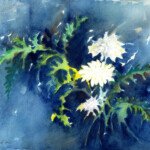 White Flowers, 1994, watercolour, 10" x14", signed
